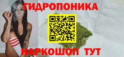 сатива Лесосибирск