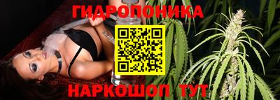 Альфа ПВП Ливны