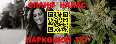 Альфа ПВП Ливны