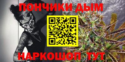 сатива Лесосибирск