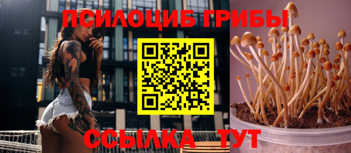 Галлюциногенные грибы мухоморы  Вход с VPN  Дербент  Псилоцибиновые грибы прущие грибы 